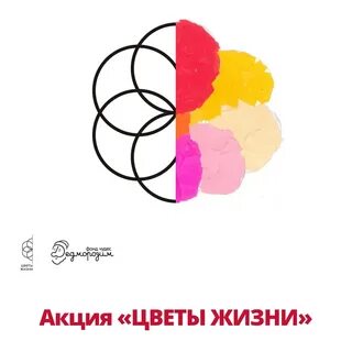 Цветы жизни сайт
