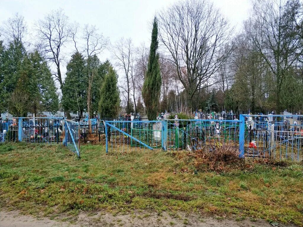 Кладбище гомель. Гомель еврейское кладбище осовцы. Кладбища гомеля. Древние кладбища гомеля. Гомель, мичуринское кладбище.