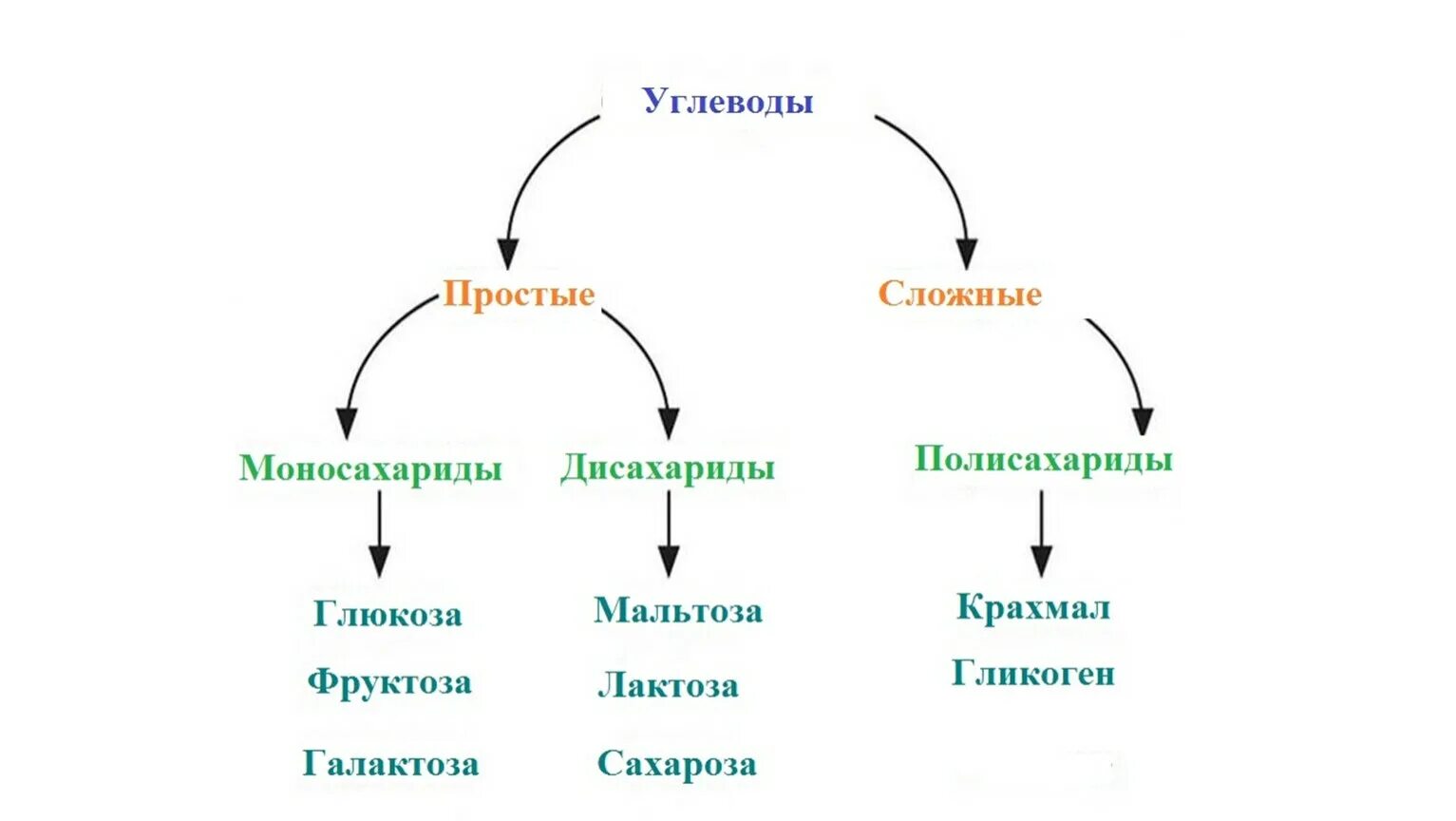 Классификация углеводов схема. Классификация углеводов биохимия схема. Химическое строение и классификация углеводов биохимия. Строение простых и сложных углеводов. Углеводы к какой группе относится