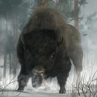Медведь зубр