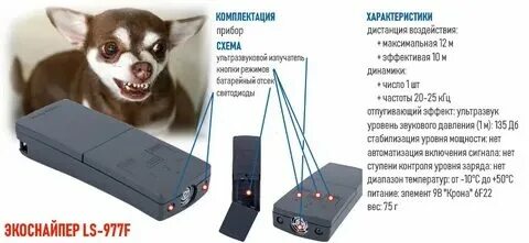 Какую частоту боятся собаки
