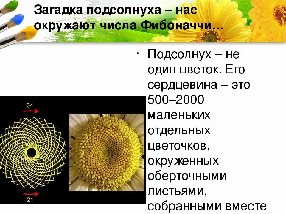 Подсолнух загадка. Загадка про подсолнух для детей. загадка про подсолнух. загадка про подсолнечник. загадки на тему подсолнух.
