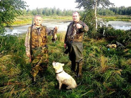 Охотник орехово зуево