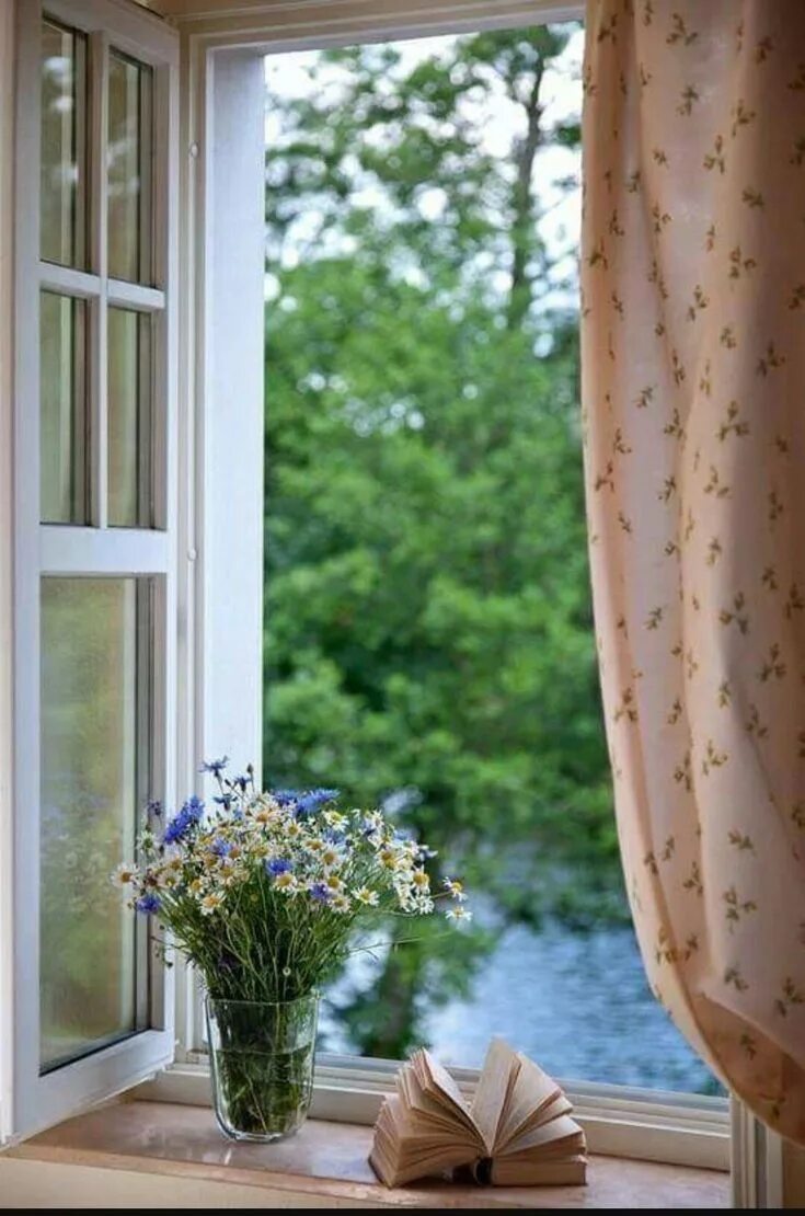 Открытое окно. Красивый вид из окна. Красивые окна. Природа за окном.
