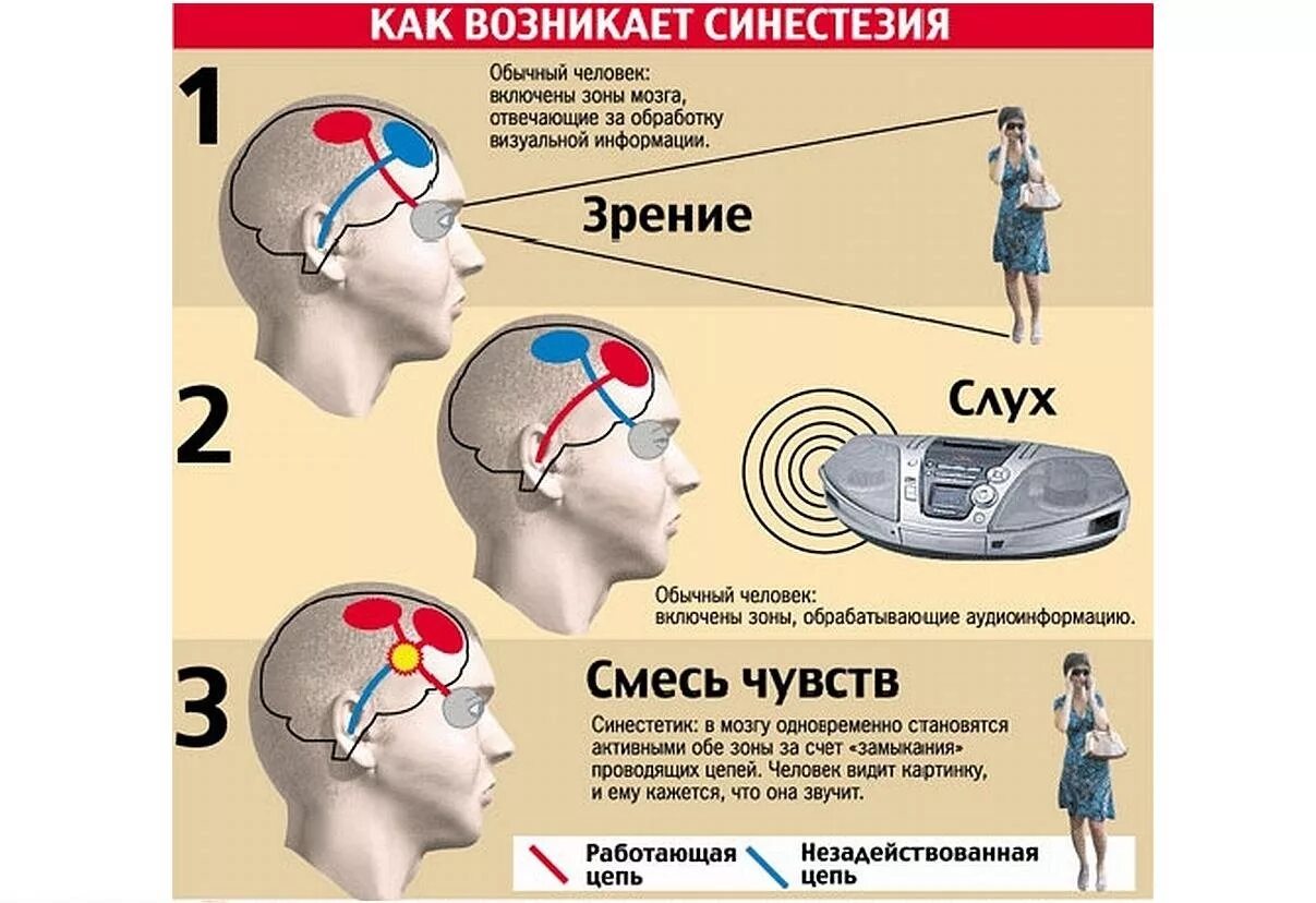 Вздрагиваю от резких звуков. Синестезия. Синестезия это в психологии. Визуальная синестезия. Синестезия мозг.