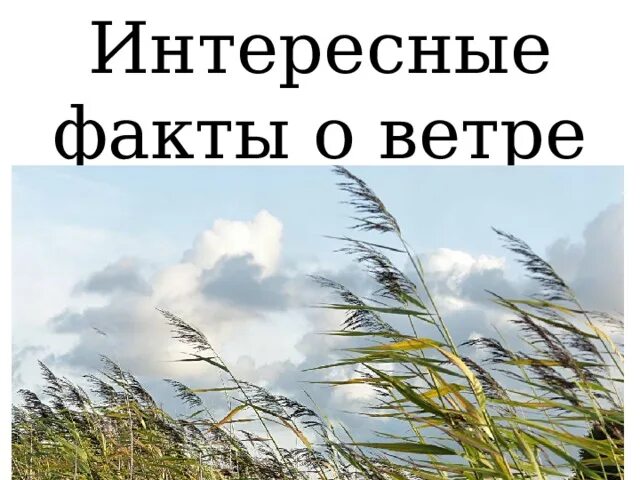 Интересные факты о ветре. Интересные факты о ветре для детей. Интересное сообщение о ветрах. Всемирный день ветра. Беседа ветер