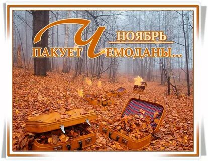 Октябрь вещи
