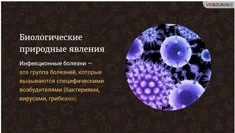 Опасное биологическое явление