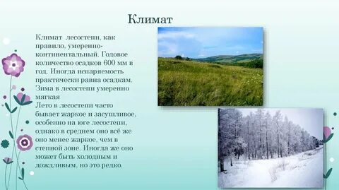 Средняя температура летом в лесостепях
