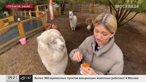 Атмосфера 24