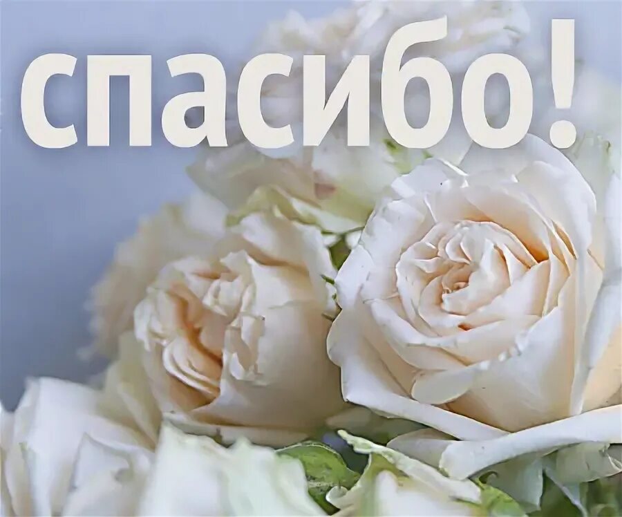Спасибо ане. Спасибо аня. спасибо анечка. открытка спасибо анечка. анечка спасибо большое.