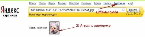 Что делать если пропали картинки в яндексе
