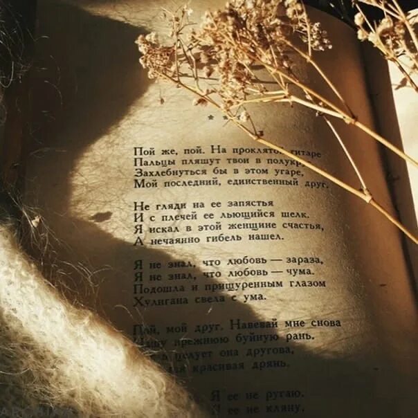 Десятый наш десантный батальон текст. Пой песню, поэт (ссср, 1971). Пой песню поэт 1971. Киндинова виктория. Четверостишье о музыке.