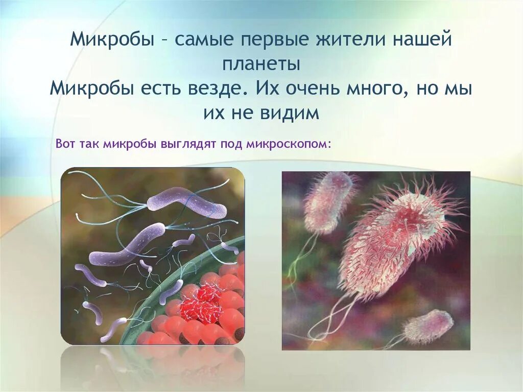 Кто такие микробы. Микробы для презентации. микробы презентация для детей. презентация на тему бактерии. о бактериях дошкольнику.