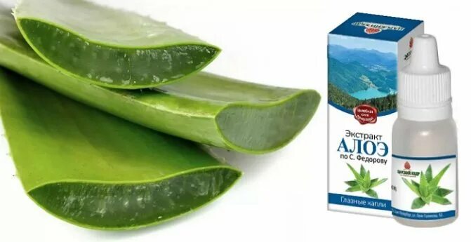 алоэ для глаз
