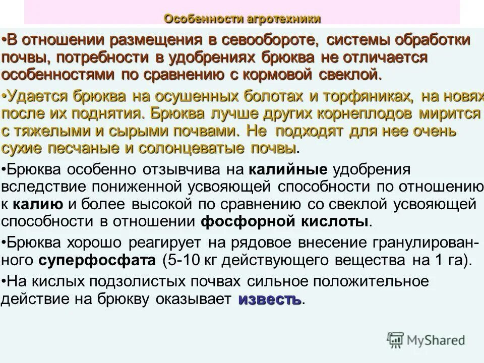 особенности агротехники