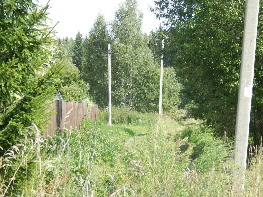 Московская область, Рузский район, р. п. Тучково, улица Даниловка, д.101. Ул Даниловка Тучково. Русский район посёлок Тучково улица Даниловка. Рузский район, посёлок Тучково, улица Даниловка.