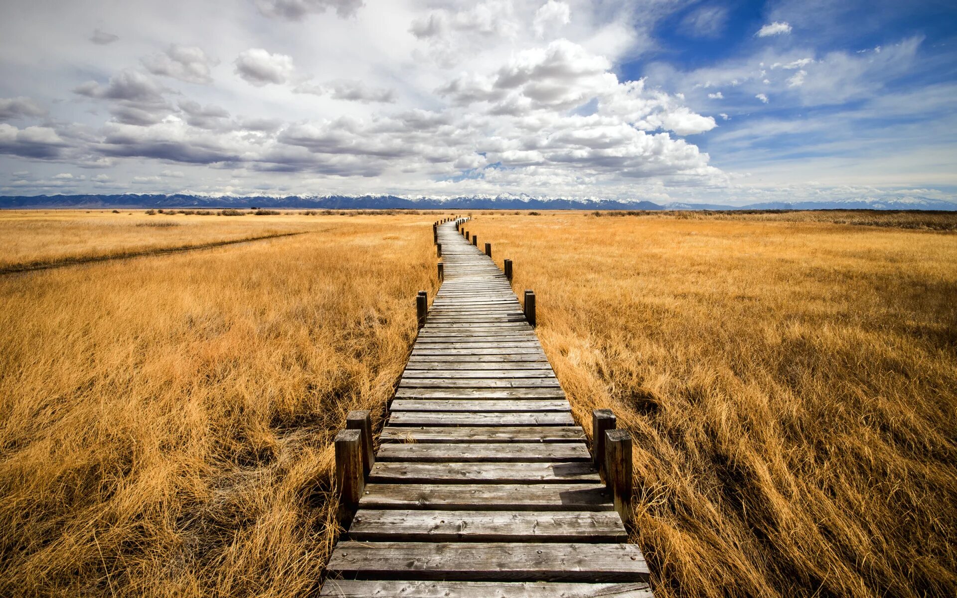 Path to image