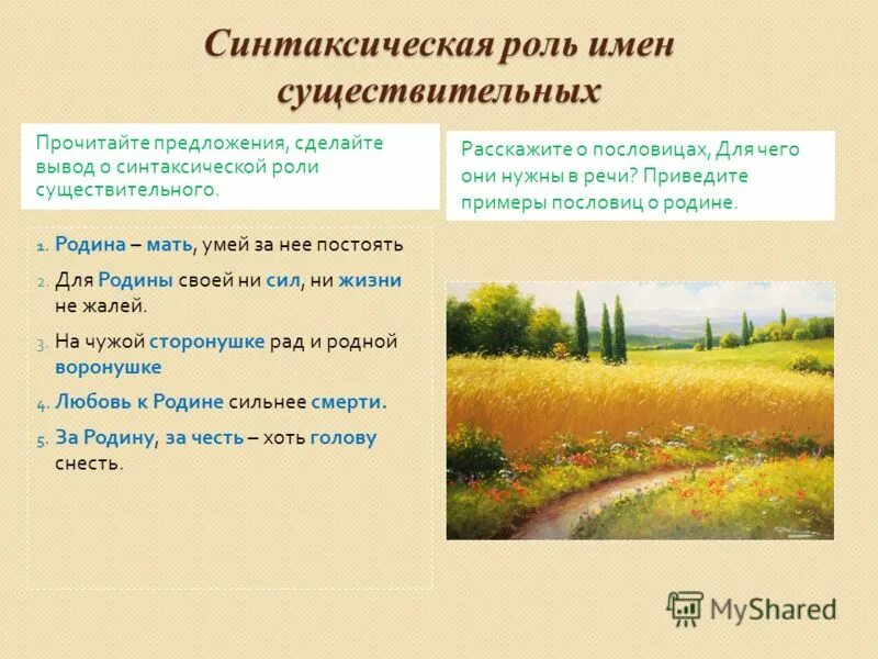 Имя существительное функция в предложении