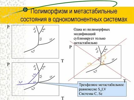 Полиморфизм системы
