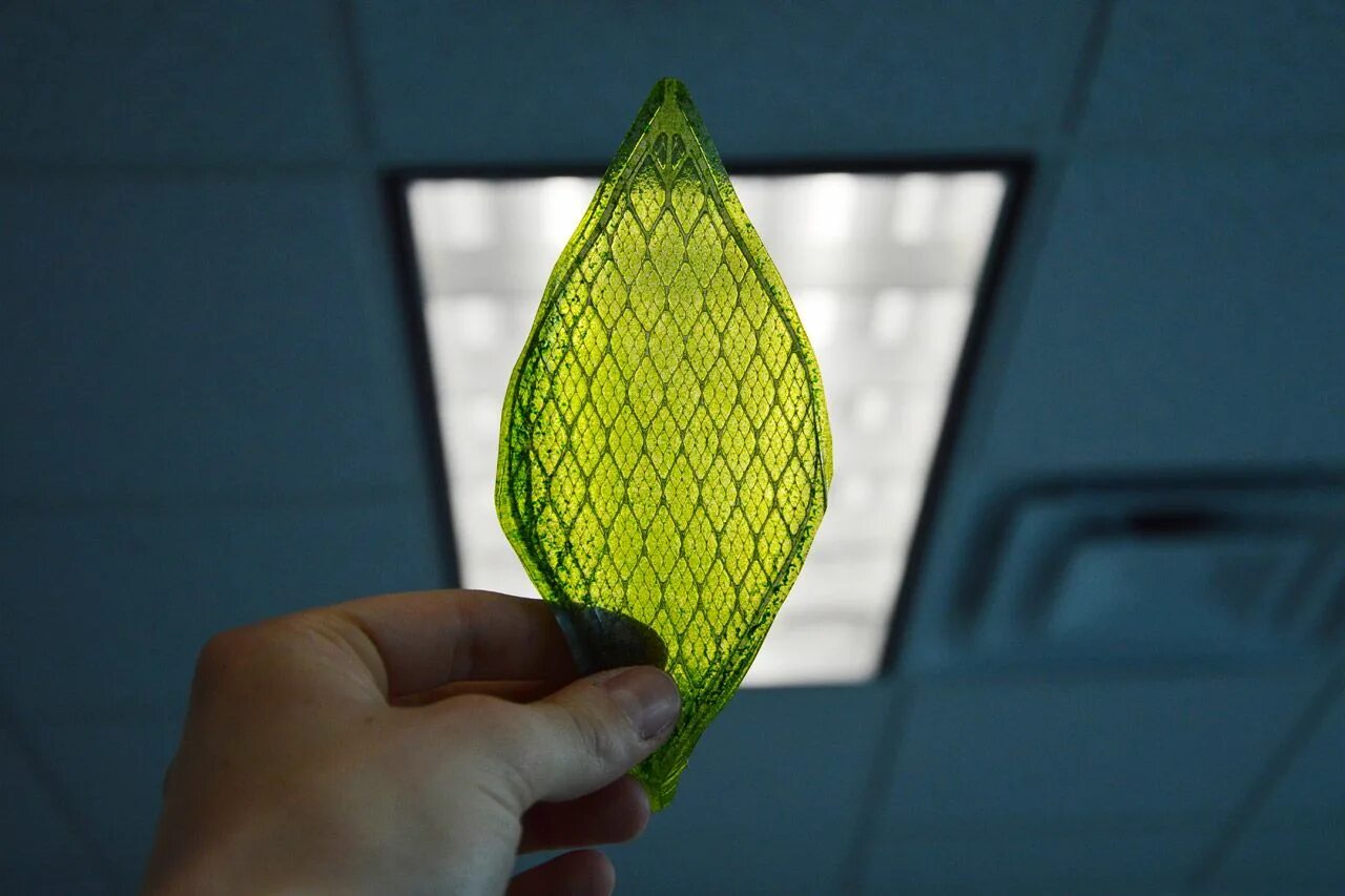 Лист будущего. Искусственные листья преобразующие углекислый ГАЗ. Biosolar Leaf. Искусственные листья будущего. Искусственные листья изобретение.