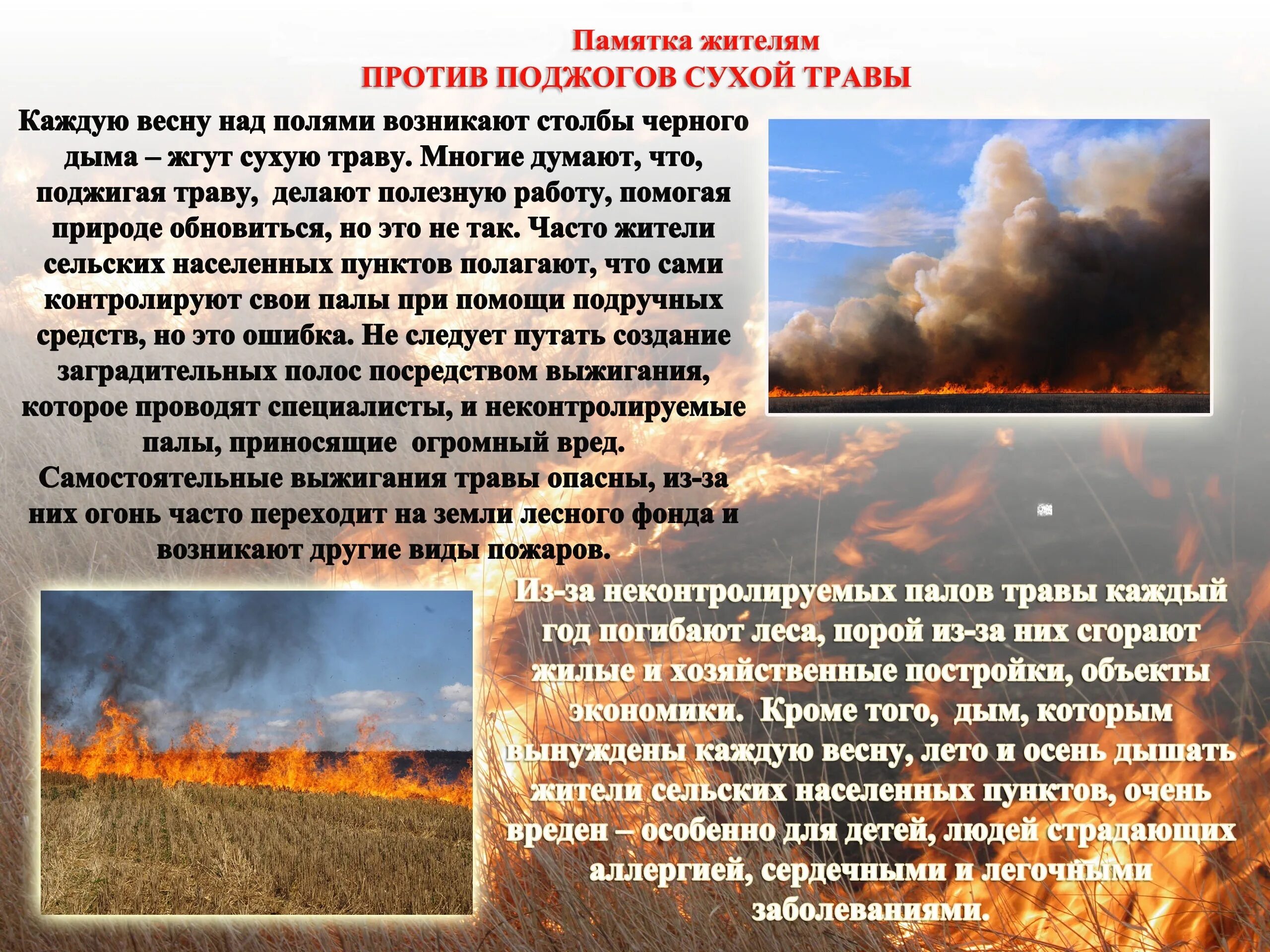 Можно ли поджигать сухую траву на лугах