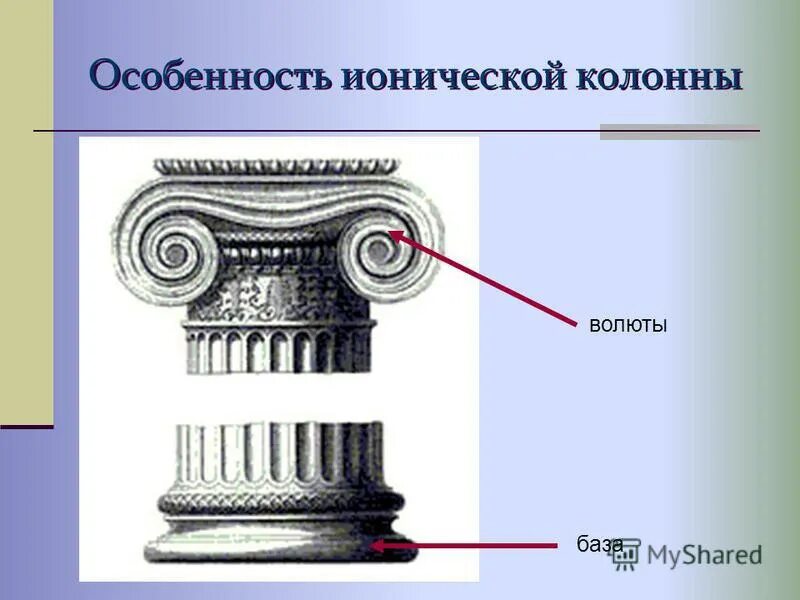 Валюта ордера. Ионический ордер в архитектуре древней Греции. Волюта ионической капители. Волюта орнамент древней Греции. Колонна Ионического ордера.