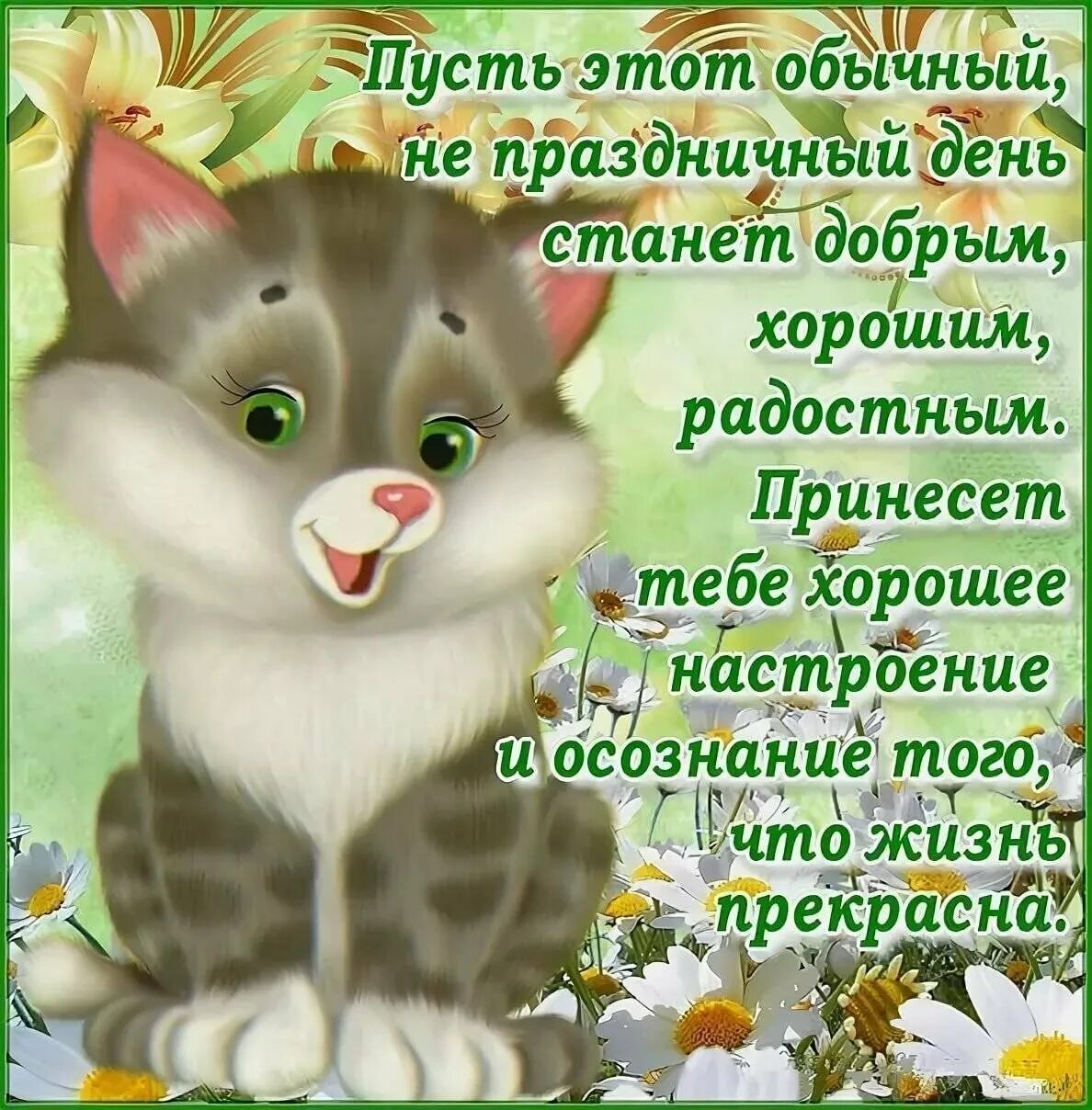 Добро про добро утро