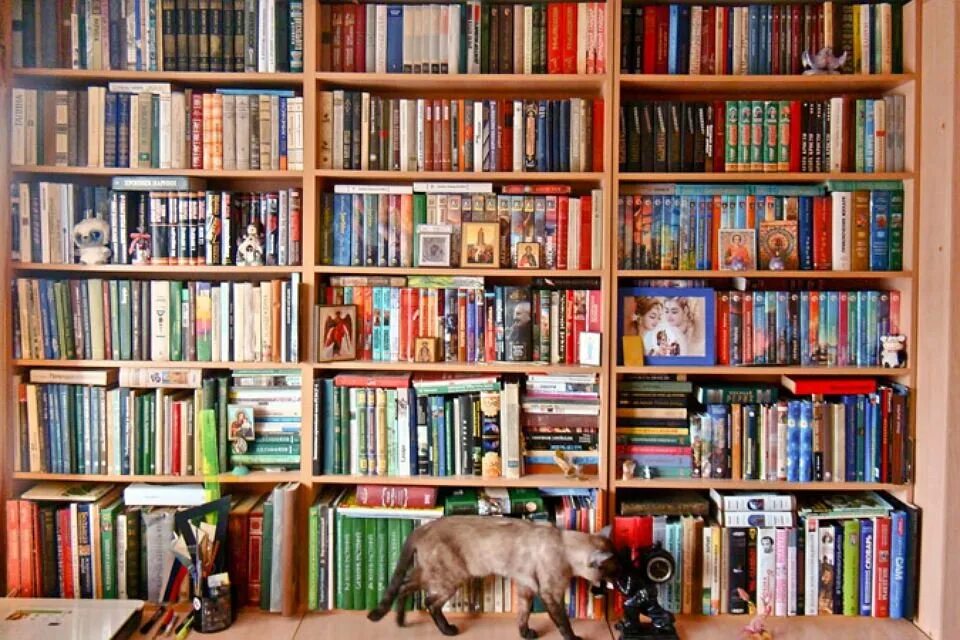 Домашняя библиотека. Коллекция книг. Моя домашняя библиотека. Книжная коллекция. История домашних библиотек