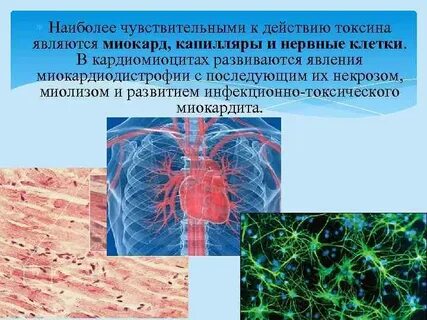 Более чувствительна