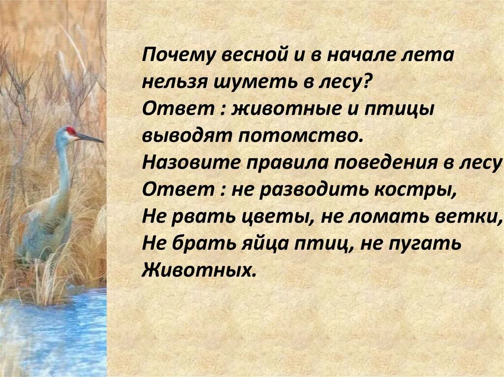 Почему весной запрещена. Нельзя пугать птиц. Почему весной. Беседа почему нельзя пугать птиц средняя группа. Игра заповедник правила.