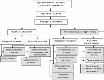 Профессиональная карьера стратегии