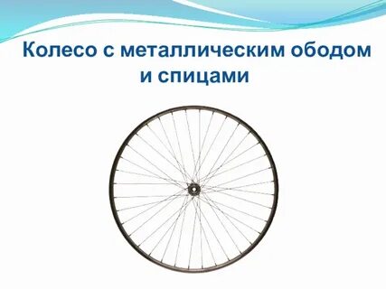 Project wheel