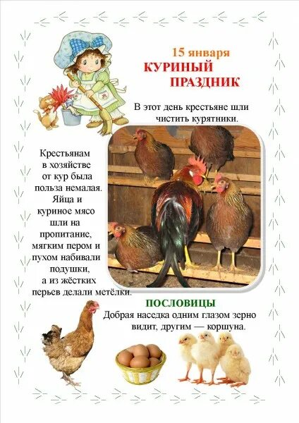 куриный праздник в январе. 15 января праздник. куриный праздник. куриный день 15 января сильвестров праздник. сильвестров день 15 января.