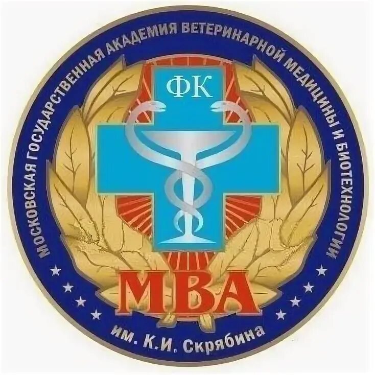 ФК МВА 2008. МВА Скрябина. МВА эмблема. МВА Скрябина лого.