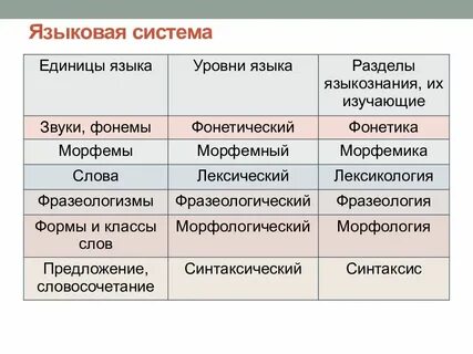 Языковые единицы литературного языка