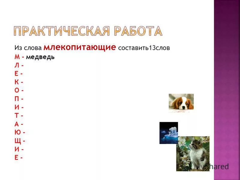 каких животных называют млекопитающими и почему. млекопитающие слова. список млекопитающих животных. млекопитающие слова. млекопитающие слова.