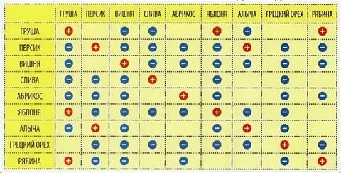 Яблоня рядом