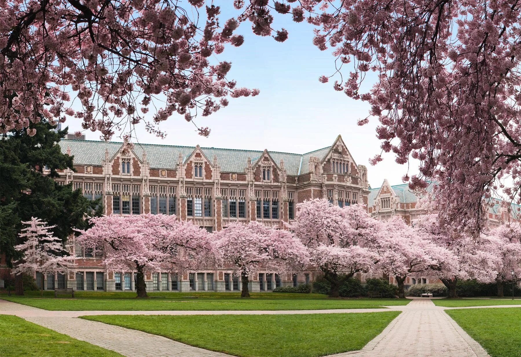 Вашингтонский университет. Вашингтонский университет university of washington. университет тонджи сакура. сиэтл вашингтон институты. вашингтонский университет факультеты.