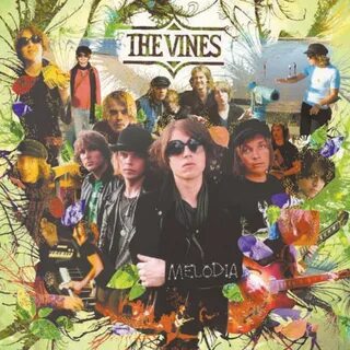 The vines