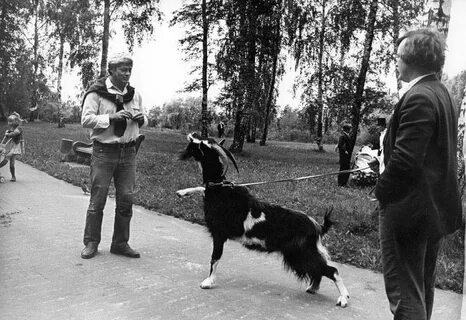 Космозоо