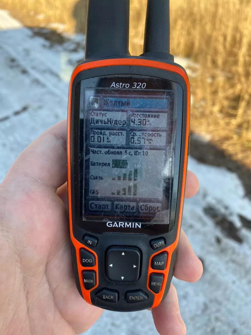 Гармин Астро 320. Garmin Astro 320. Гармин Астро 320 с ошейником. Garmin Astro 320 с ошейником. Купить гармин для охоты с собакой