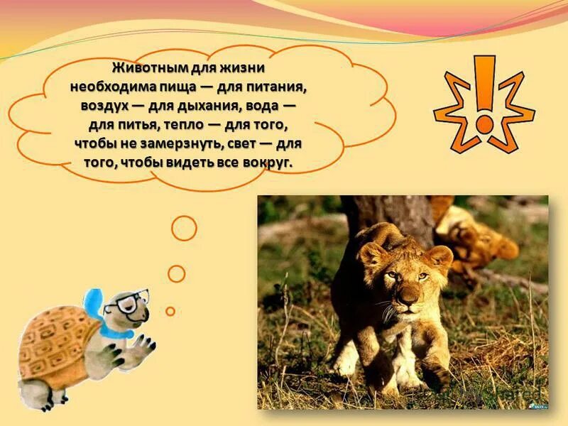 Окружающий мир первый класс как живут животные. Условия жизни животных. условия необходимые для жизни животных. как живут животные. как живут животные презентация.
