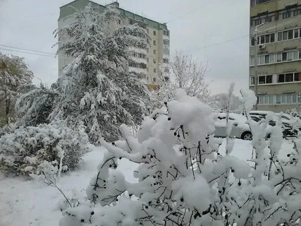Погода в димитровграде на ноябрь