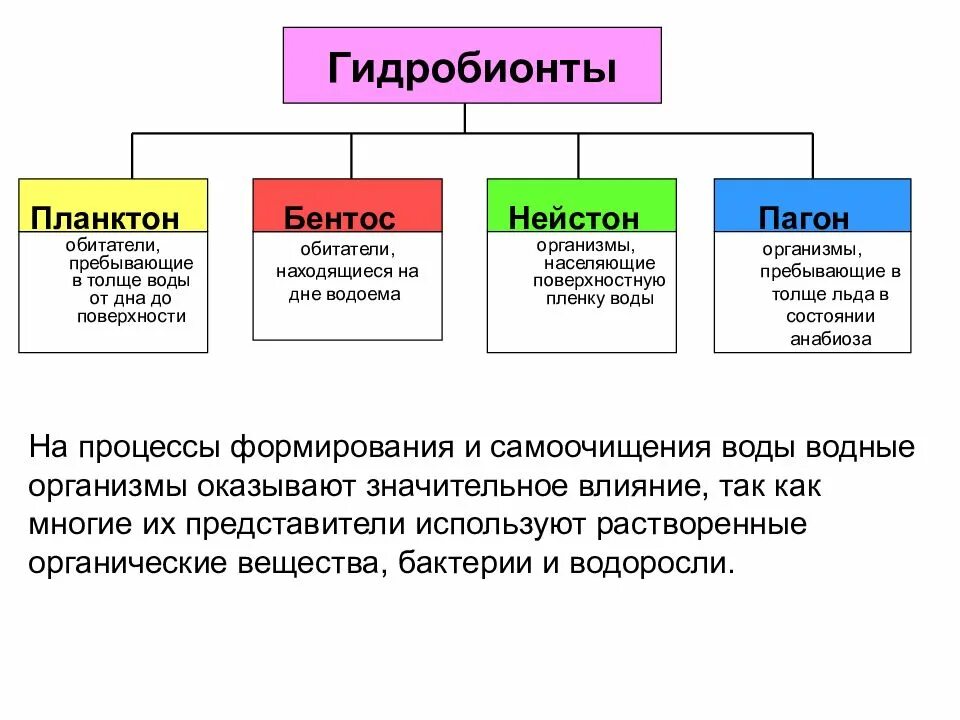 ролевая структура коллектива. структура группы это коллектив. структура группы. варианты структуры группы. варианты структуры группы.