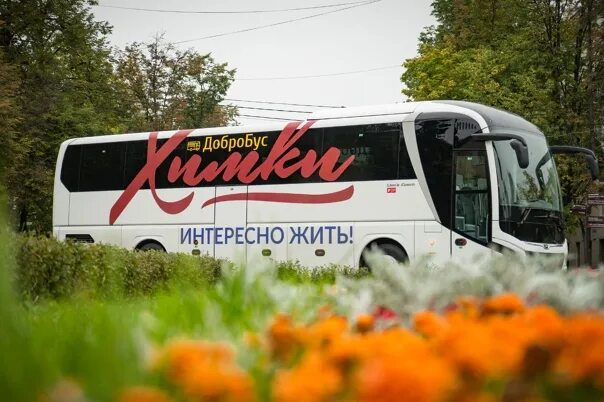 Каждое утро автобус. Активное долголетие Химки автобус. Автобус экскурсионный для пенсионеров. Бесплатный автобус группа. Добробус Ульяновск.