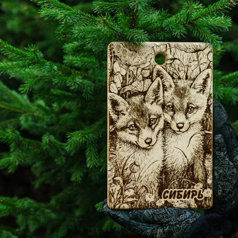 Береза кедр лиса