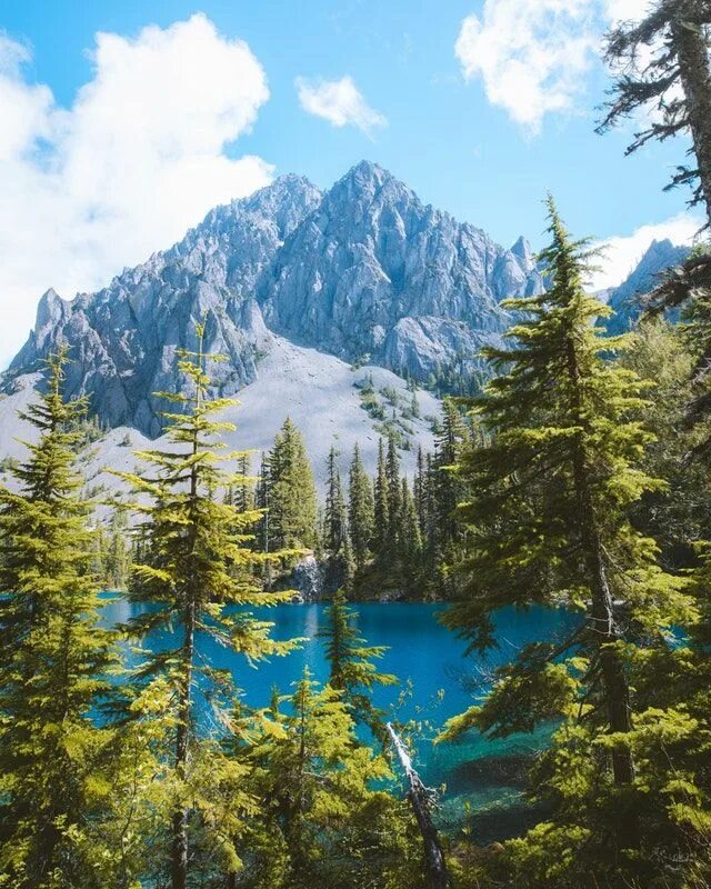 Штат вашингтон пейзажи. Природа сша. State nature. Вашингтон природа. Пейзаж фото.