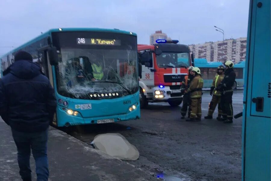 Чп автобус. Автобус. Полицейский автобус. Два автобуса.