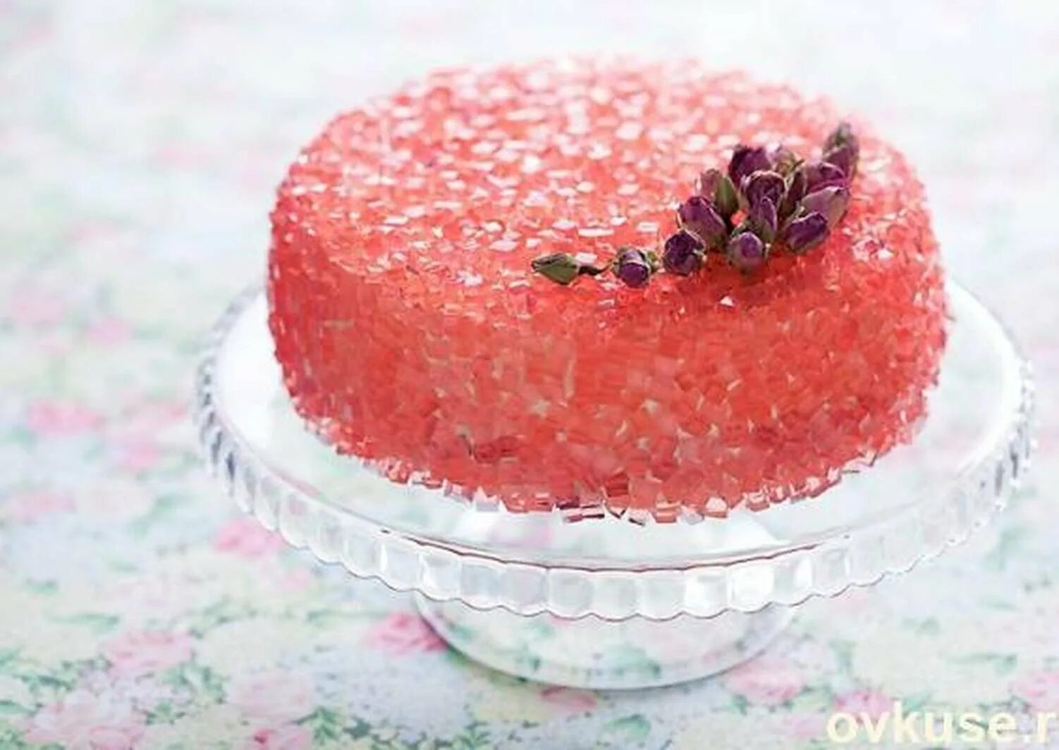 Желейный торт с фруктами. Украшение желейного торта. Желе для украшения торта. Торт с желе и фруктами. Фруктовый торт оксаны пашко.